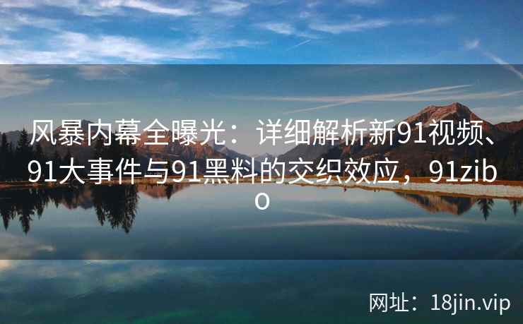 风暴内幕全曝光：详细解析新91视频、91大事件与91黑料的交织效应，91zibo